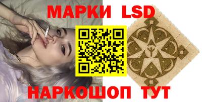 гидропоника Кингисепп