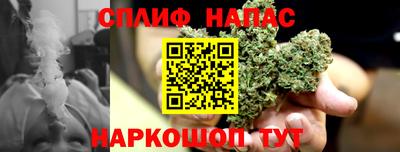 гидропоника Кингисепп