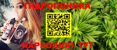 гидропоника Кингисепп