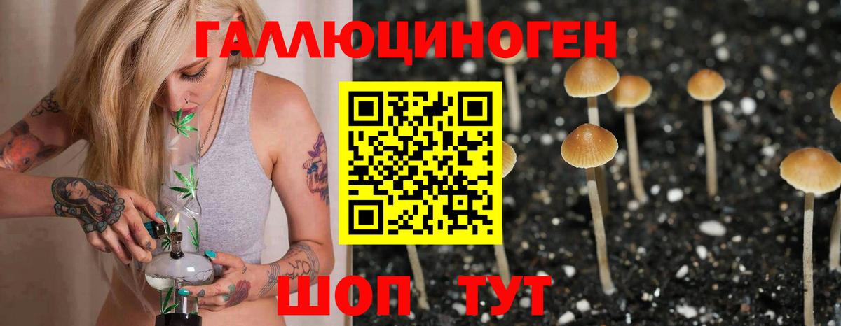 Арсеньев  Псилоцибиновые грибы ЛСД  Вход с VPN 